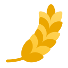 大麦 icon