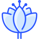 蓮 icon
