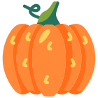 Pumpkin icon