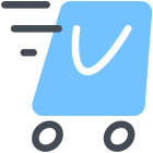 shopping-express icon