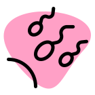Sperm moving towards ovaries for form a egg icon