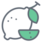 Lemon icon