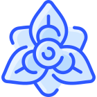 Amaryllis icon