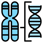 Chromosome icon