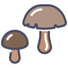 Fungus icon