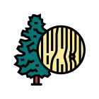 Spruce icon