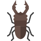 Stag Beetle icon