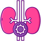 Endocrinology icon