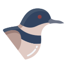 Bird icon