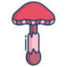 Toadstool icon