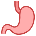 Stomach icon