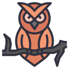 Hibou icon