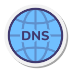 DNS icon