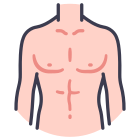 Anatomy icon