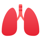 Lungs icon