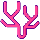 Coral icon