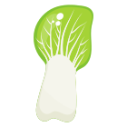 Cabbage icon