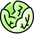 Cabbage icon