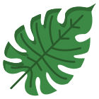 Palm Leaf icon