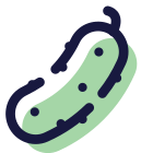 Pepino icon