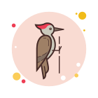 Woodpecker icon