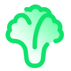 Lettuce icon