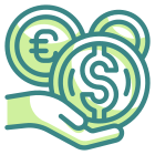 Currency icon