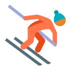 горные лыжи-тип кожи-3 icon