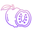 Guava icon