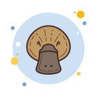 오리너구리 icon