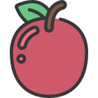 Apple icon