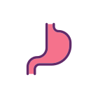 Stomach icon