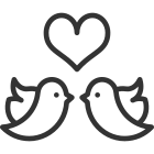 Love Birds icon