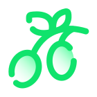 Aceituna icon