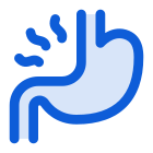 Stomach icon