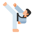 Taekwondo icon