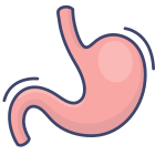 Anatomy icon