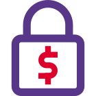 Secure online payment ssl protection, money security icon