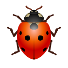 Lady Beetle icon