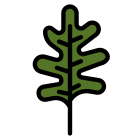 Arugula icon