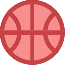 Pallacanestro icon