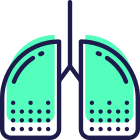 폐 icon