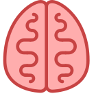 Cerveau icon