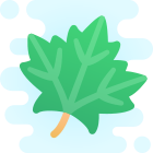 Maple Leaf icon