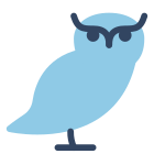 Owl icon