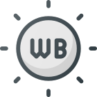 White Balance icon