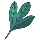 Sassafras icon