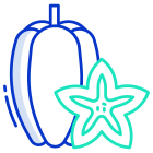 Star Fruit icon