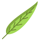 Gum Tree Leaf icon