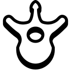 Vértebra icon